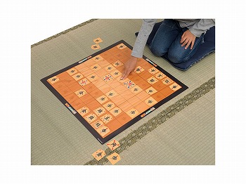 【お買得】カードではじめて将棋