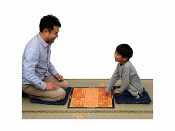 【お買得】カードではじめて将棋