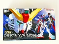 RG11　 1/144 ZGMF-X42S デスティニーガンダム
